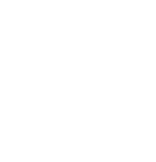 Fetch Surf Concept